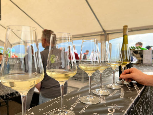 Weinproben im Weingut