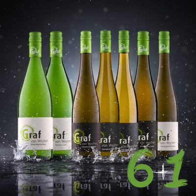Foto: 6+1 Probierpaket Weingut Graf von Weyher in der Pfalz 