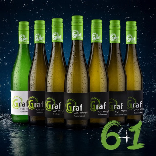 Probierpaket M: 6+1 Weißwein trocken
