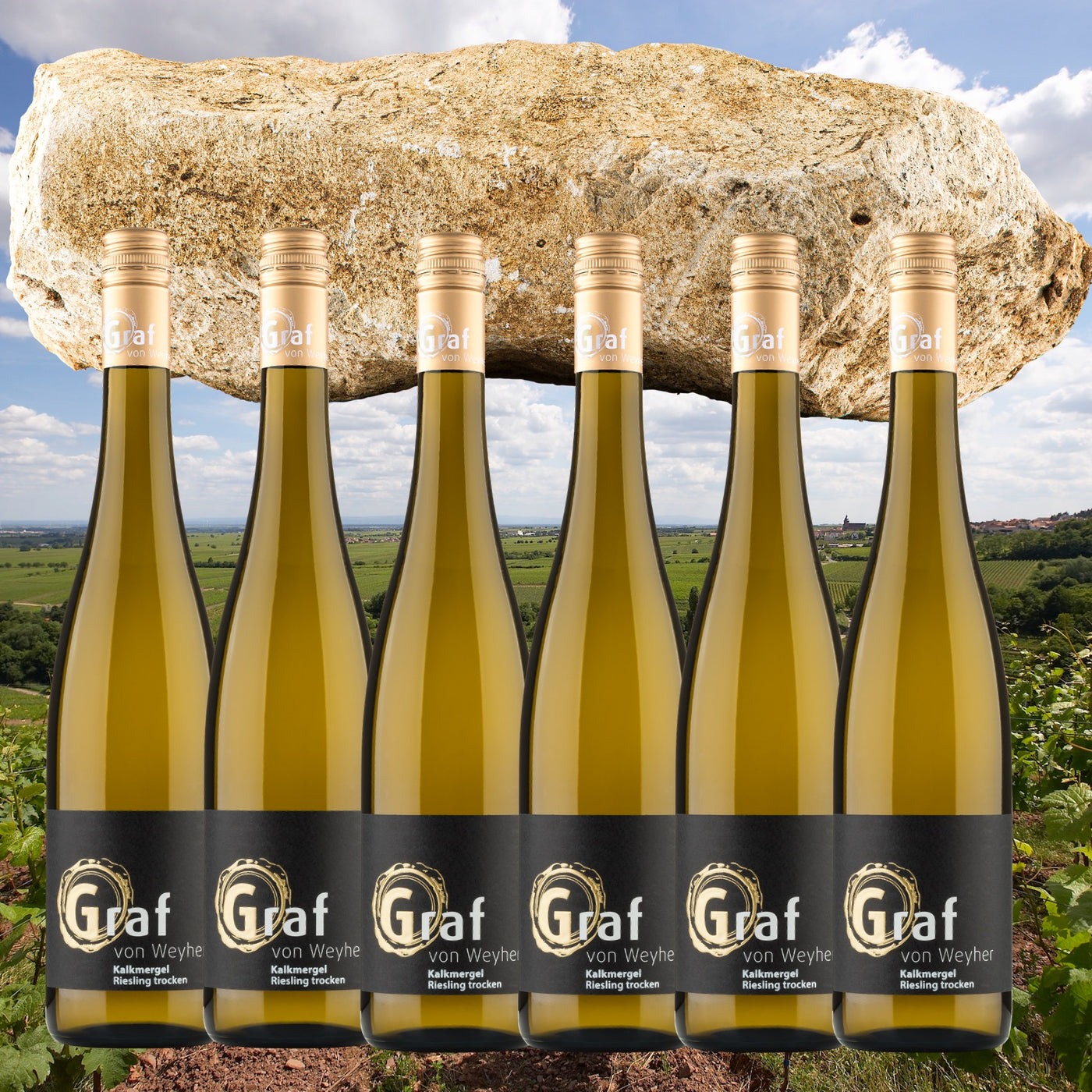 Vertikale Kalkmergel Riesling Paket 2019 - 24