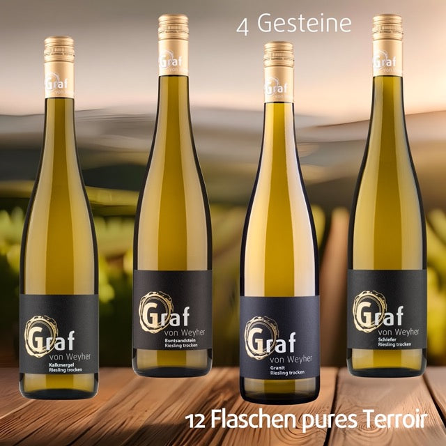 Riesling Terroir Paket