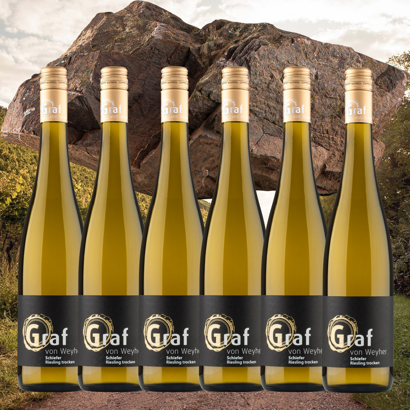 Vertikale Schiefer Riesling Paket 2019 - 24
