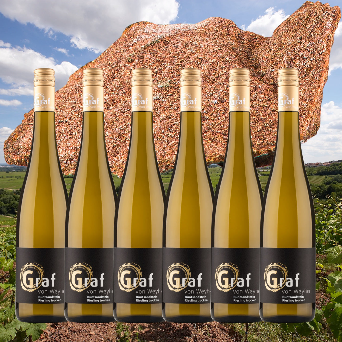 Vertikale Buntsandstein Riesling Paket 2019 - 24