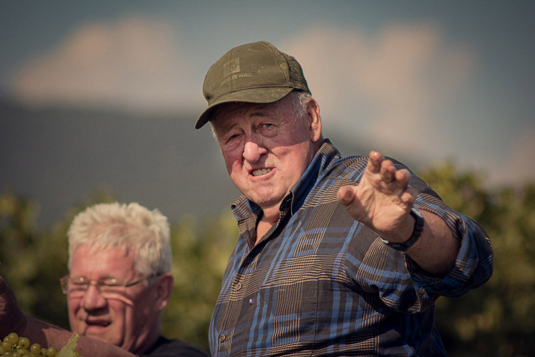 img_Familienbetrieb_Onkel-Otto-Winzermeister_Weingut_Graf-von-Weyher_Pfalz_suedliche-Weinstrasse